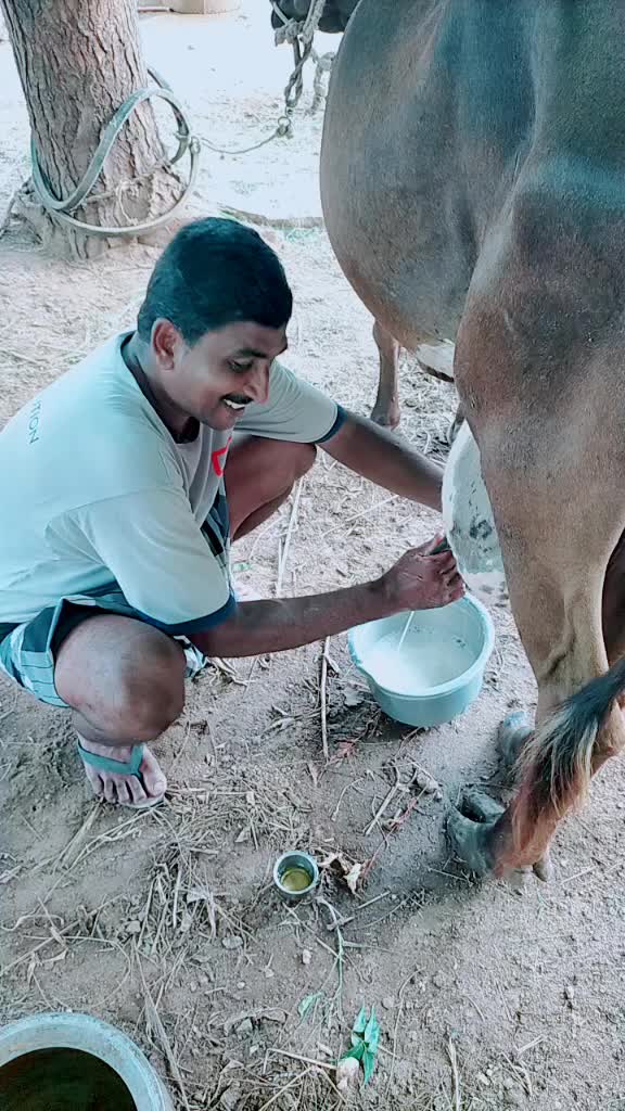 @prabha king