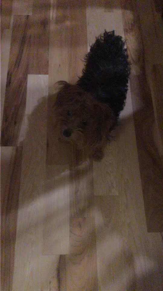 @ElliottAndSophie