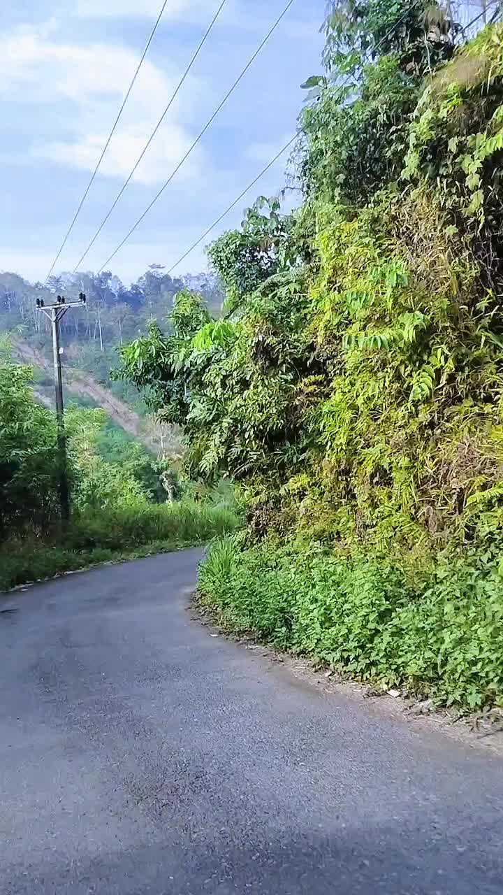 @Kia_15