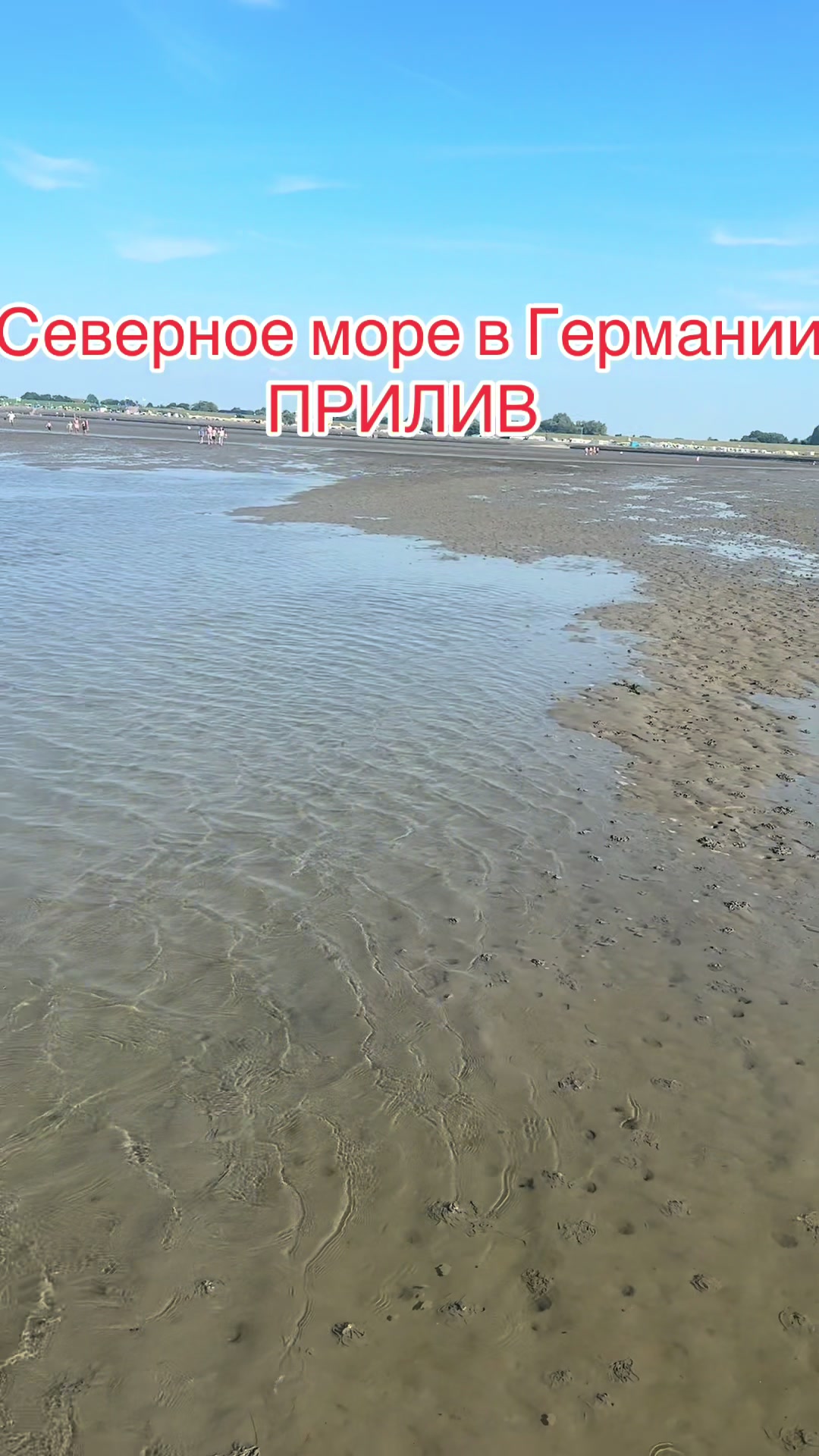@bodya_2311
