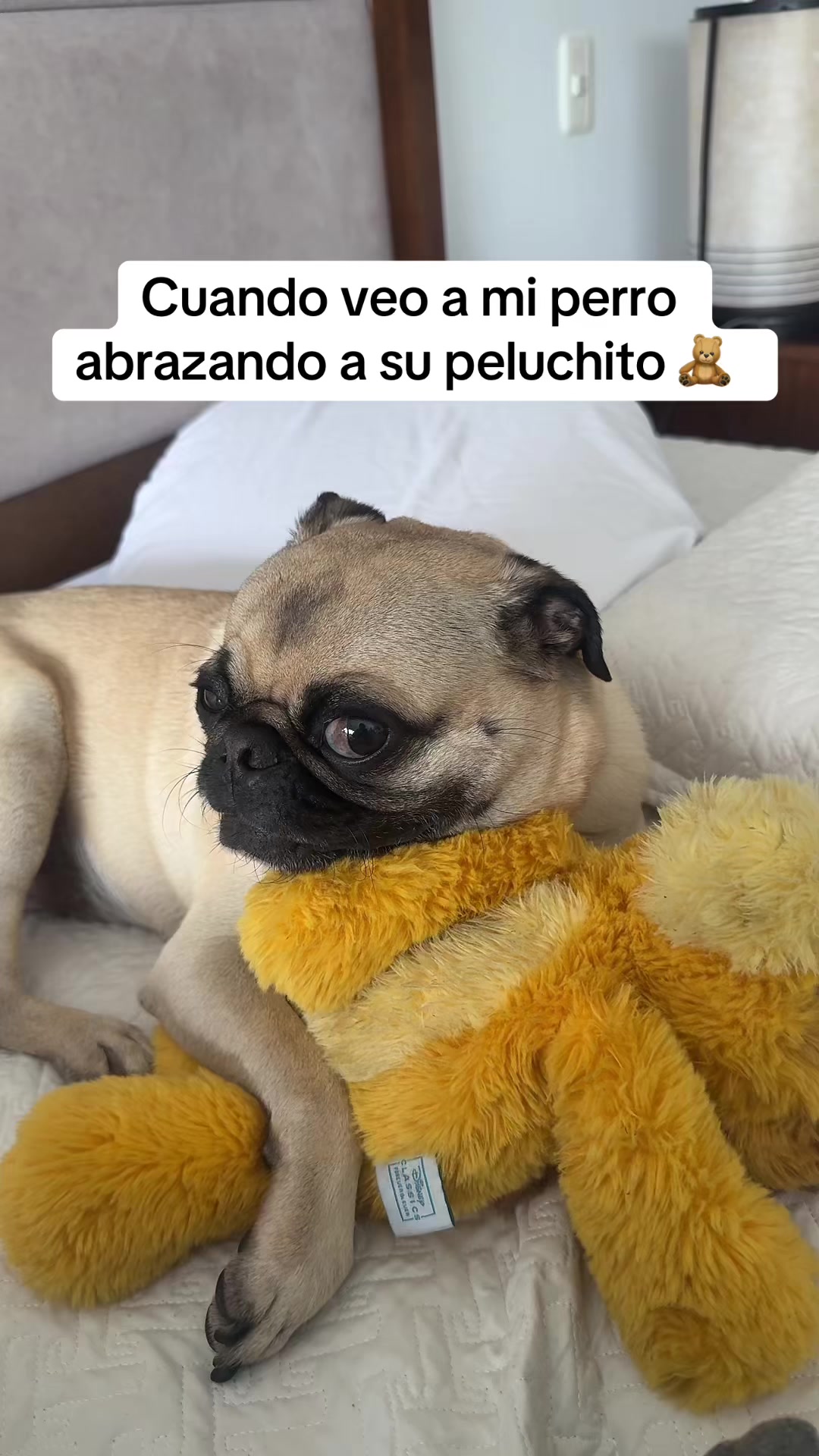 @Alexa&elcarnalchiss