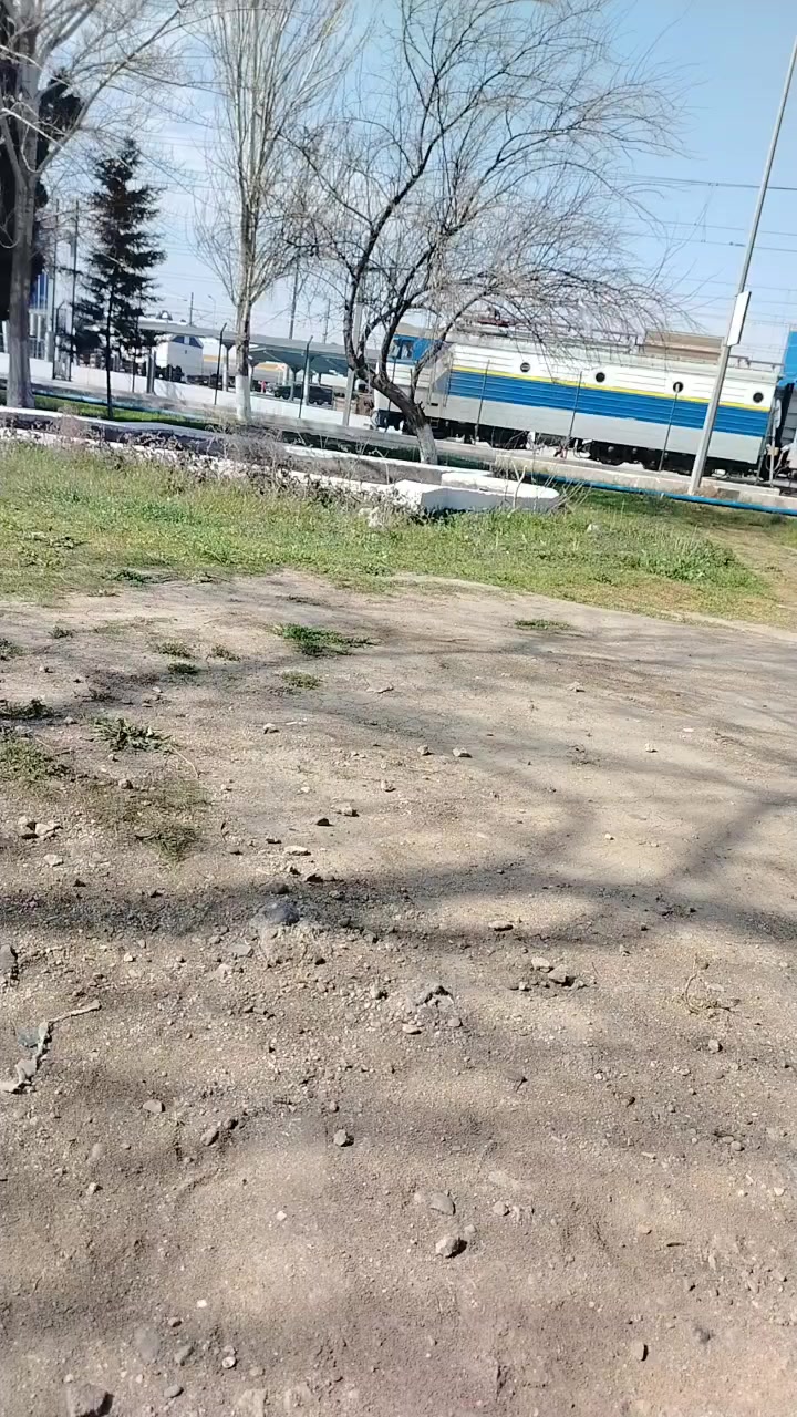 @Tağıyev Röyal 🇦🇿
