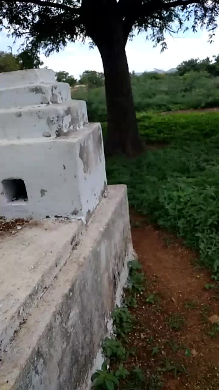 @Manoj Mani