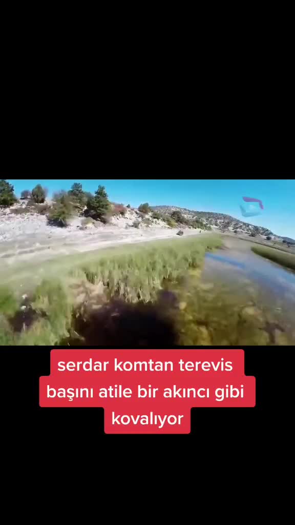 @user97455774664