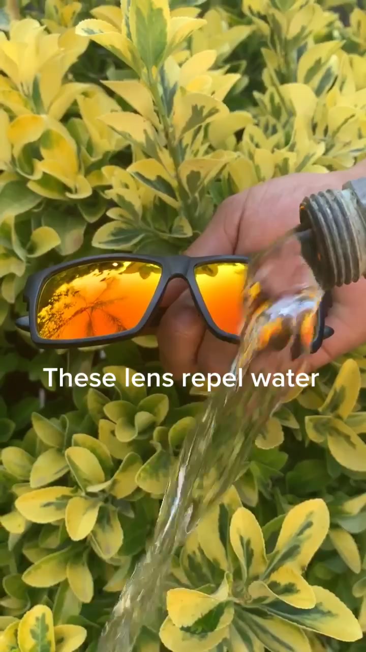 @toroeeyewearsv