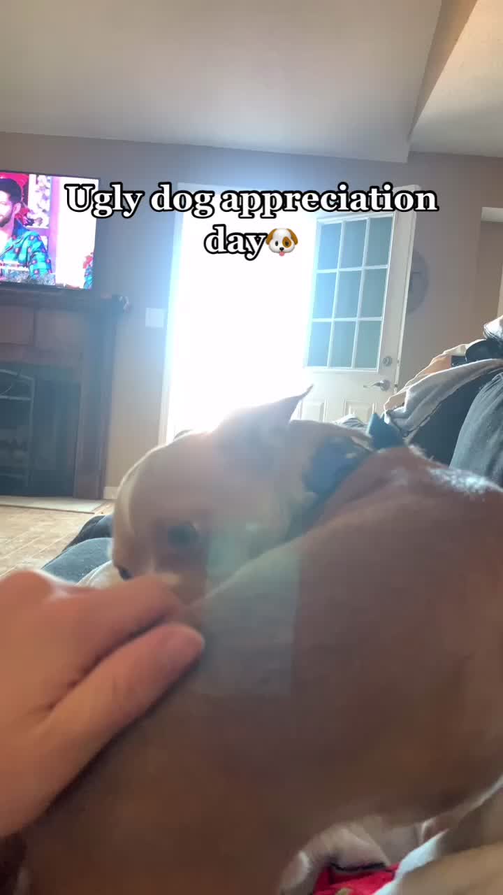 @ATCapa34
