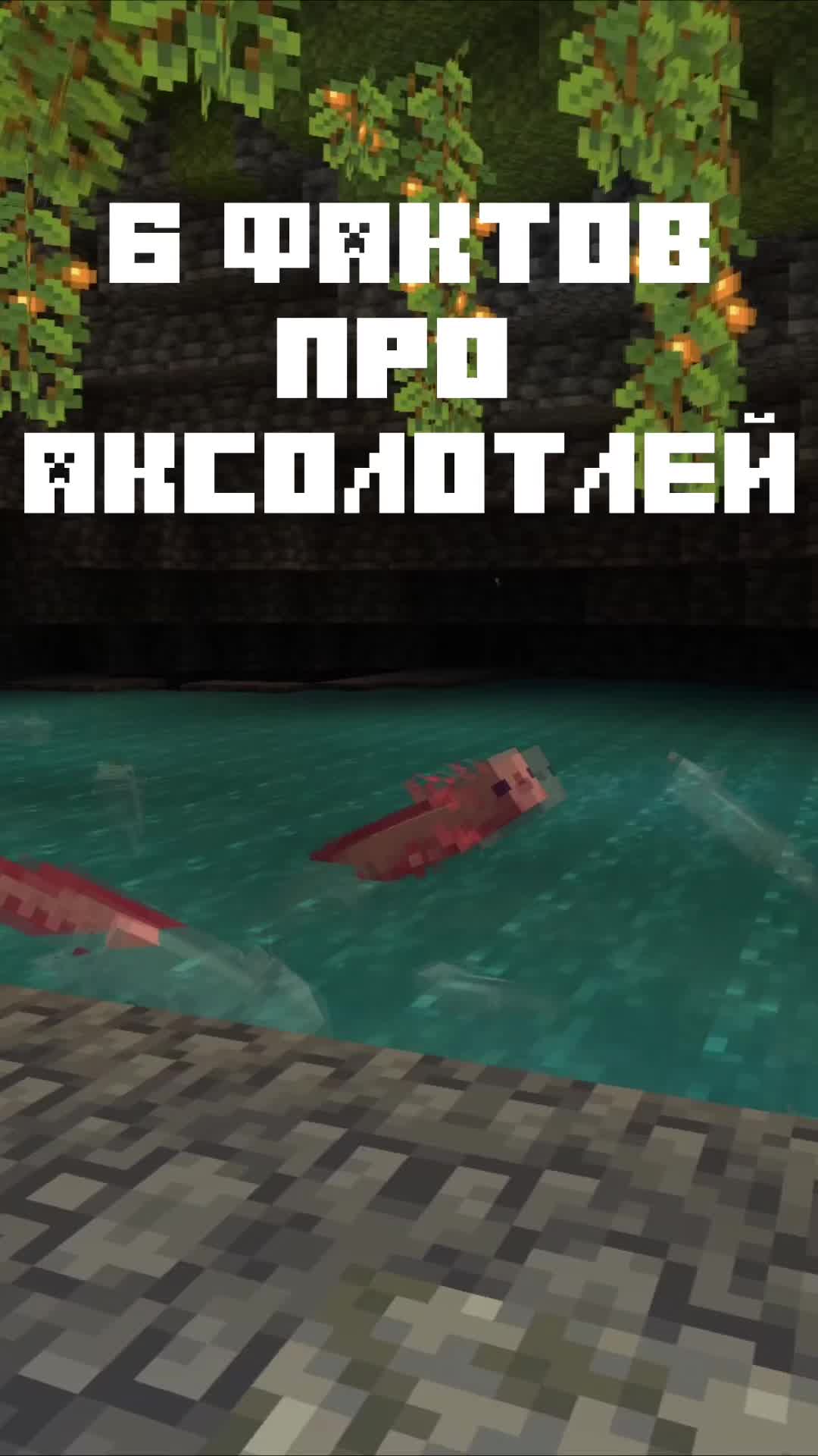 @Фуга