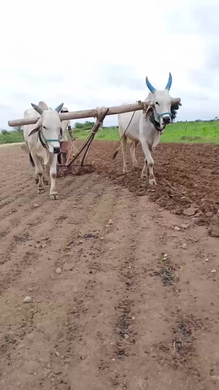 @ramakrishnaramaalpu
