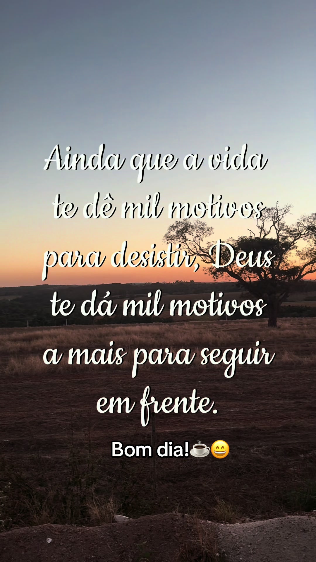 @gesyaparecida74