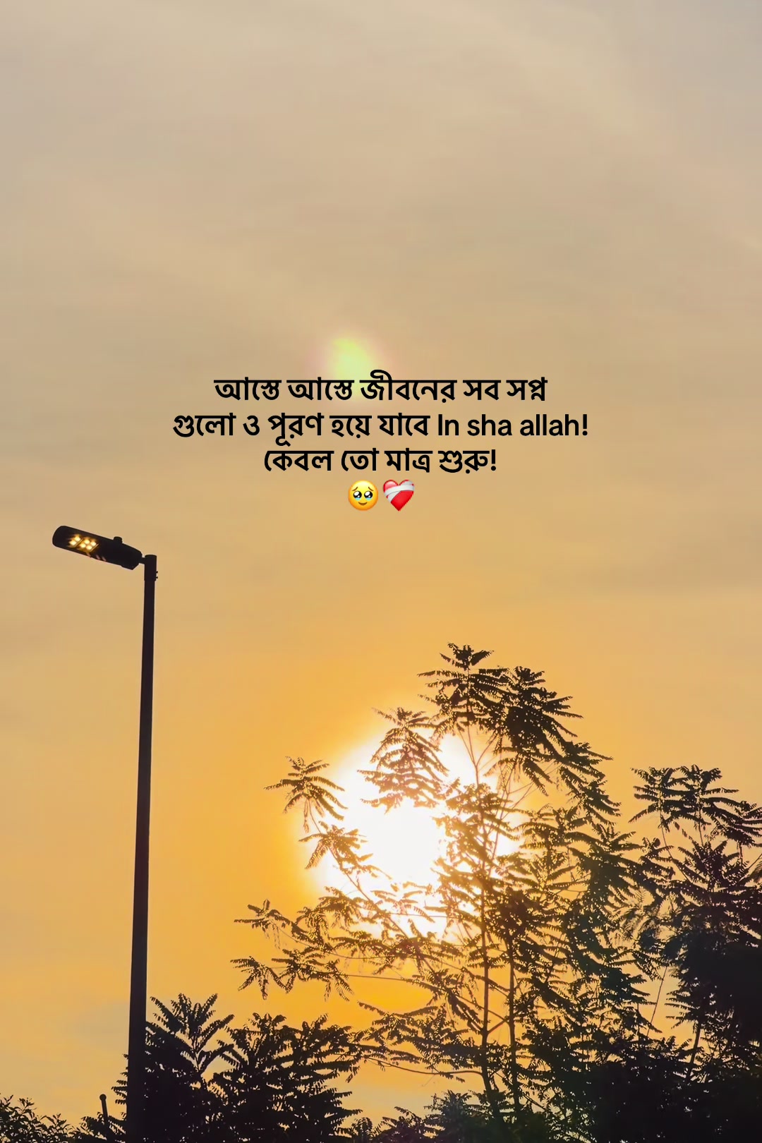 @आईएएन ┊🐥