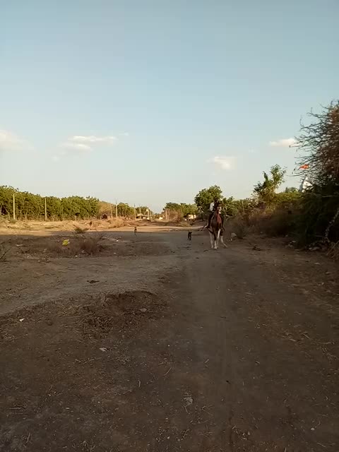 @Abhay jambliya