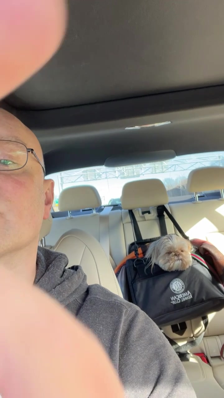@Dr. Max and Ollie 🐶