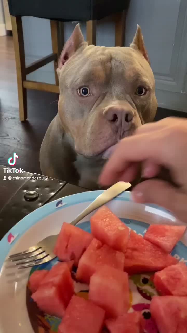 @chinomendezbully