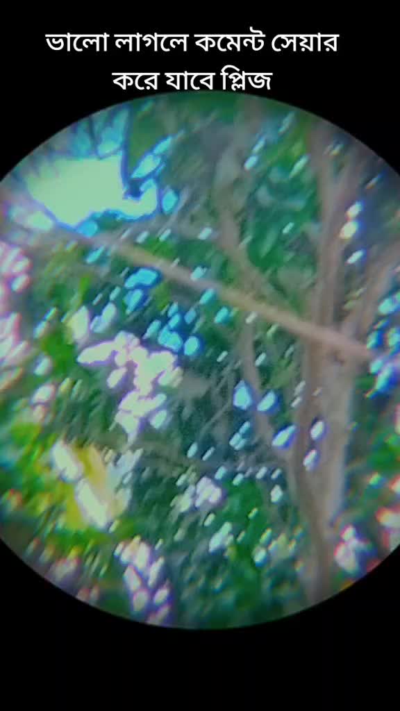 @Wer sorif 1234