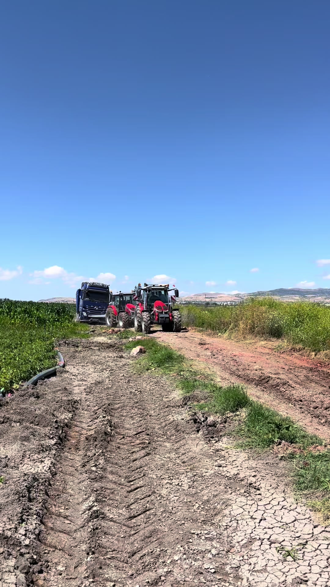 @Tunahan TAŞTEMUR ✅