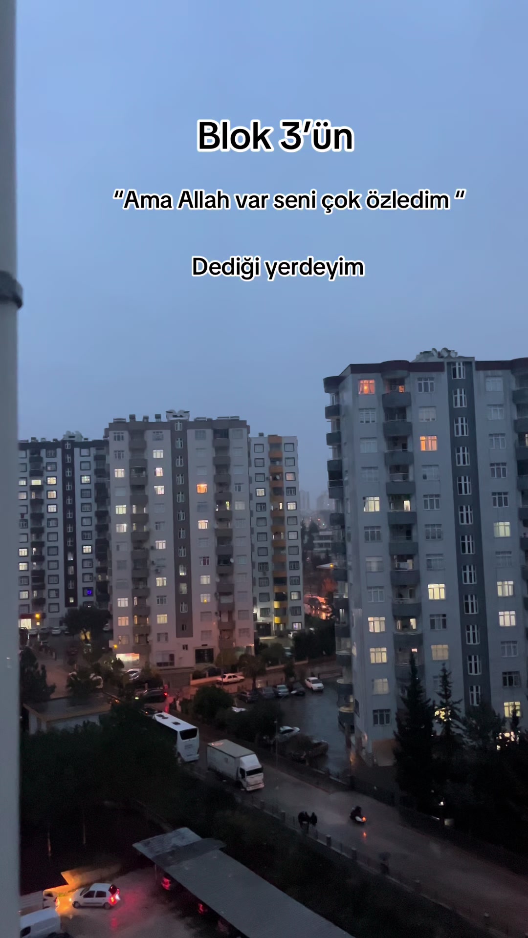 @Ceyda