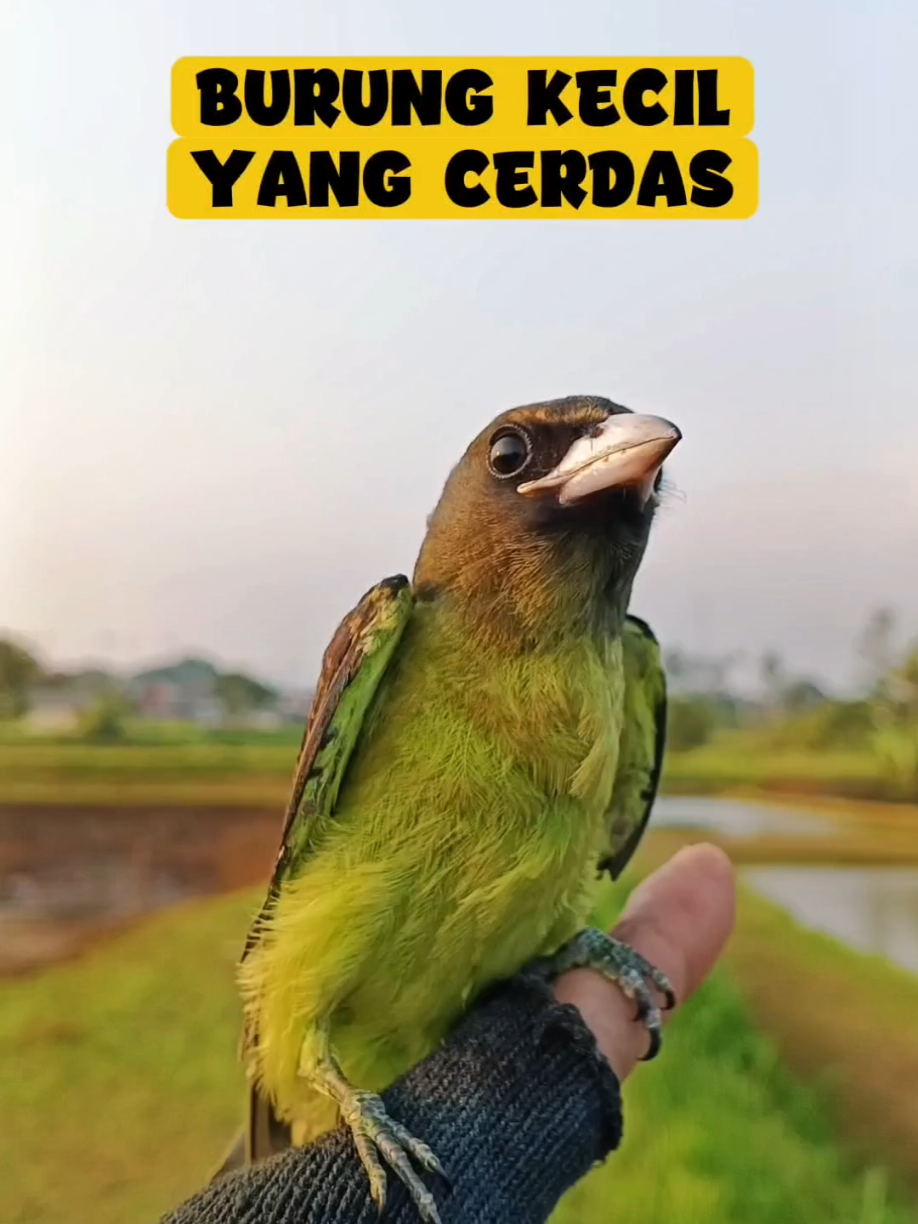 @BANG LEYON