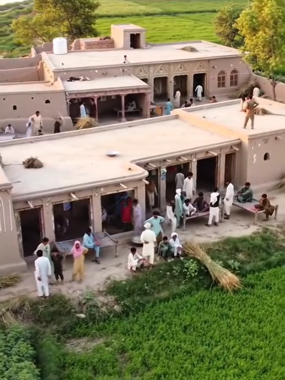 @M. Tᴀʟʜᴀ Rᴀsʜᴇᴇᴅ Gᴜᴊᴊᴀʀ 🇵🇰