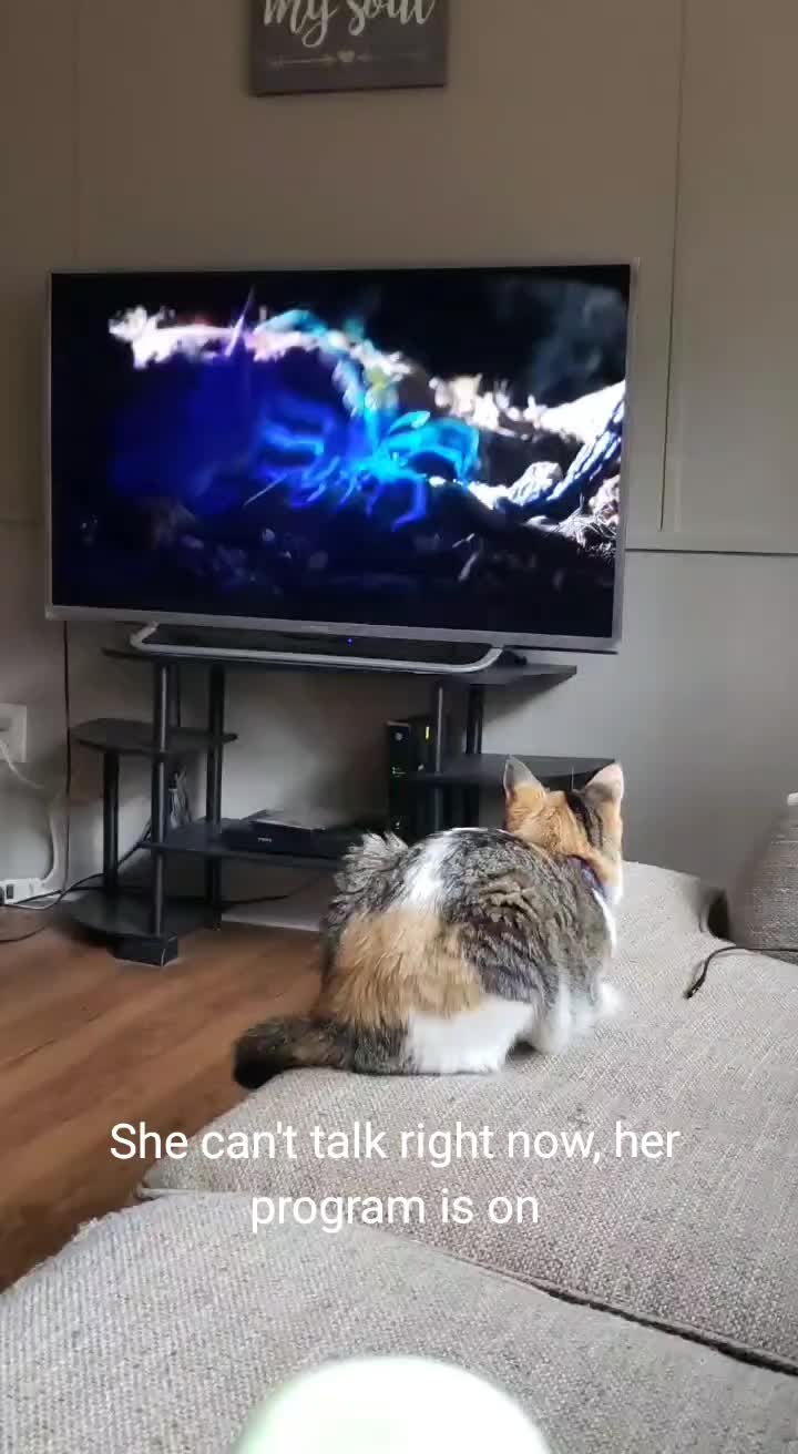 @Mulch