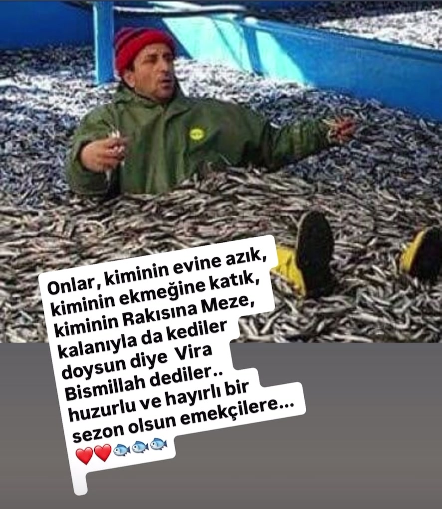@Hüseyin Çınaroğlu