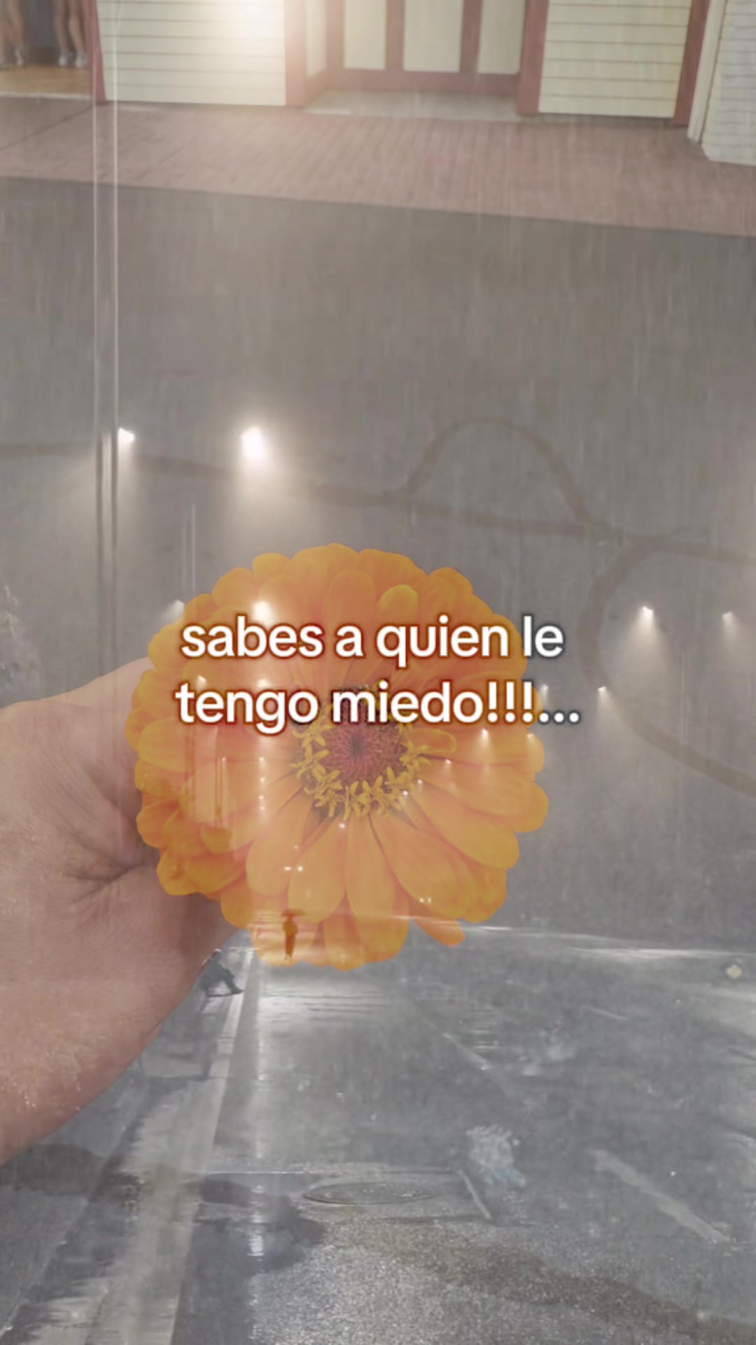 @Doriithadiiaz