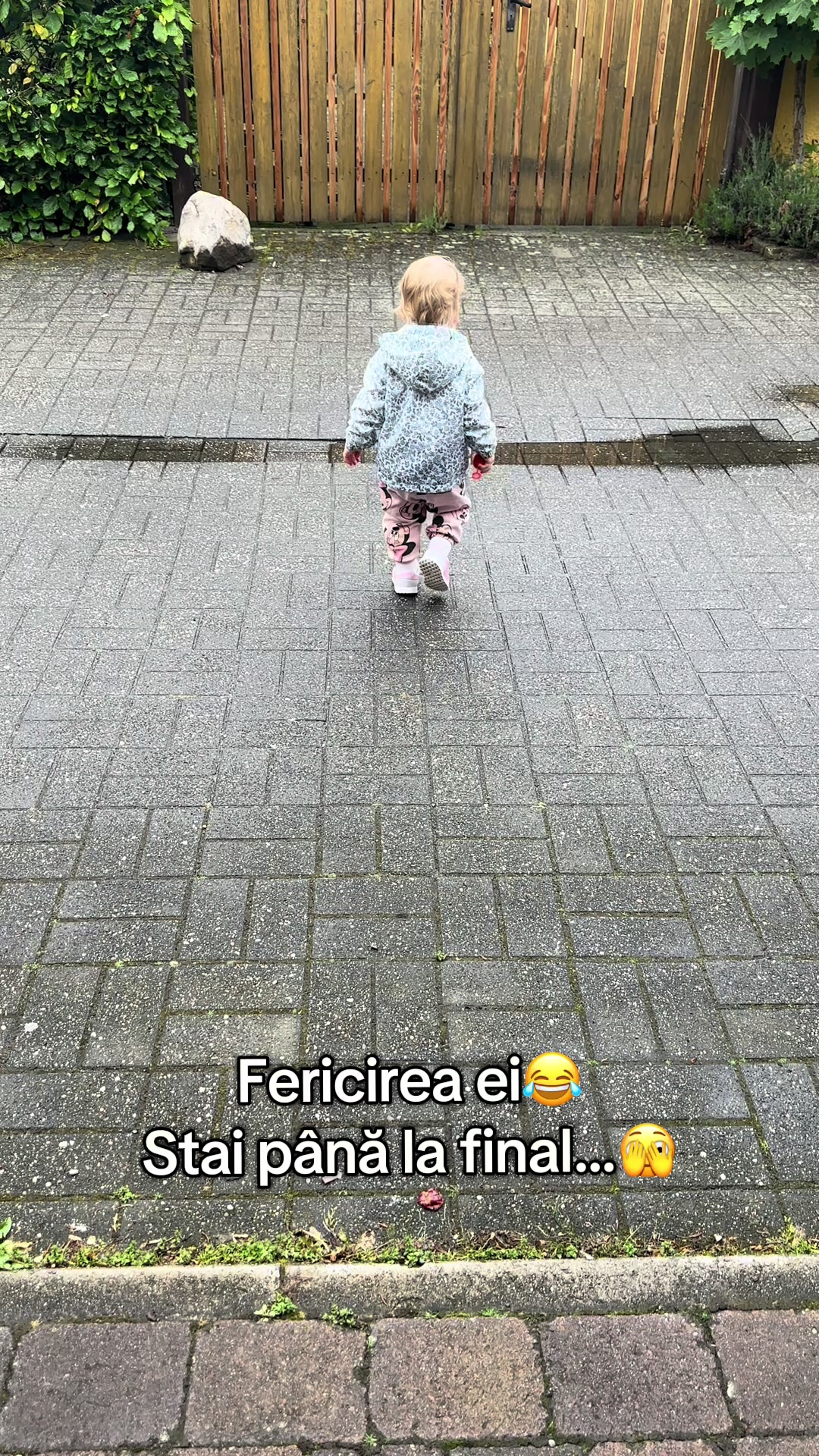 @Teşu Fam❤️