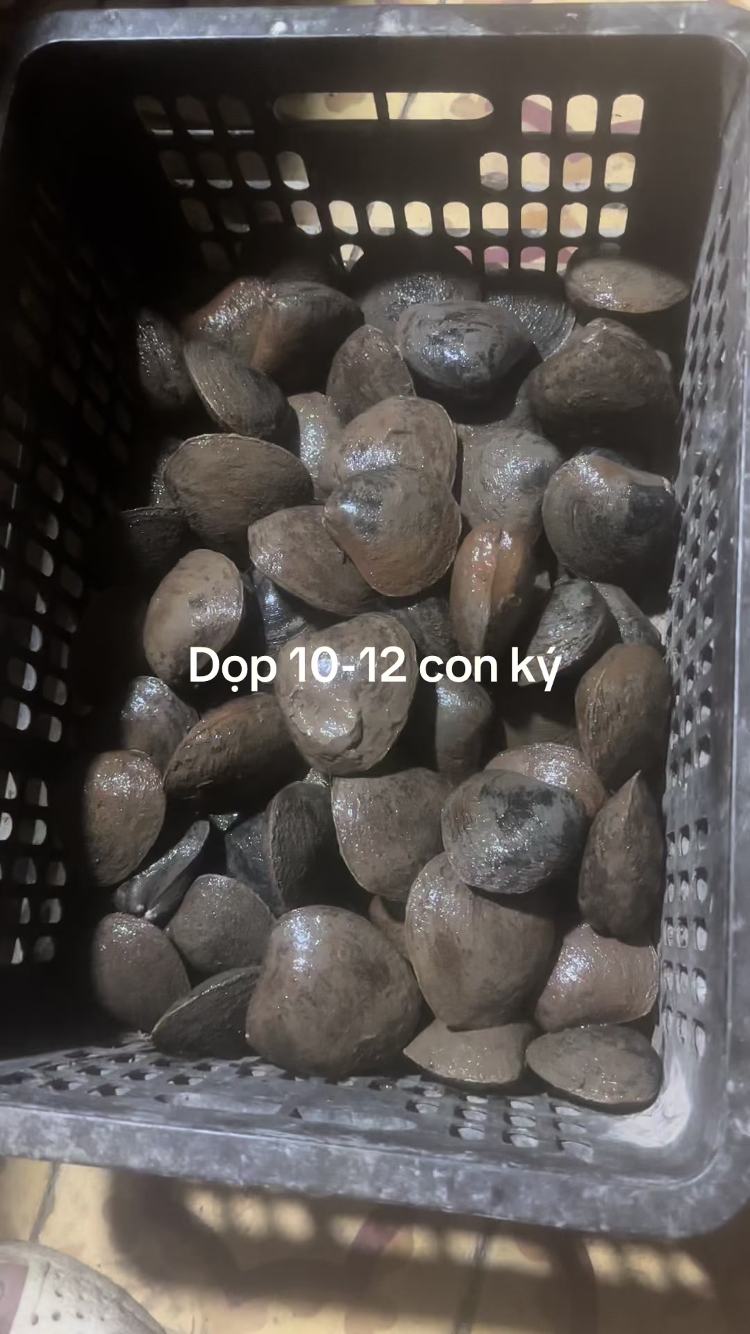 @2 🌾 CG🌾 59Z2