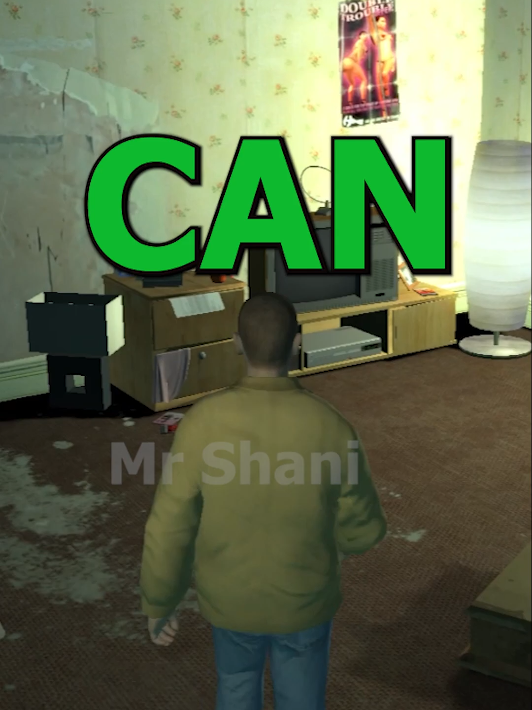 @Mr Shani