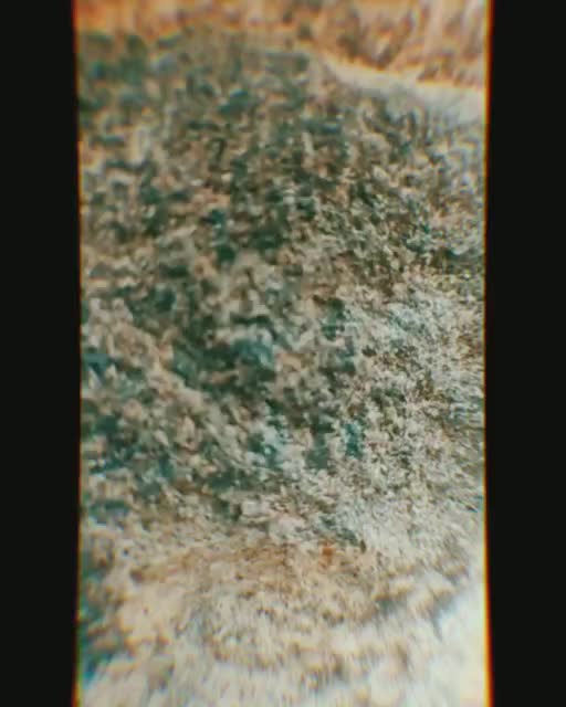 @Iran_Vinnu_0008