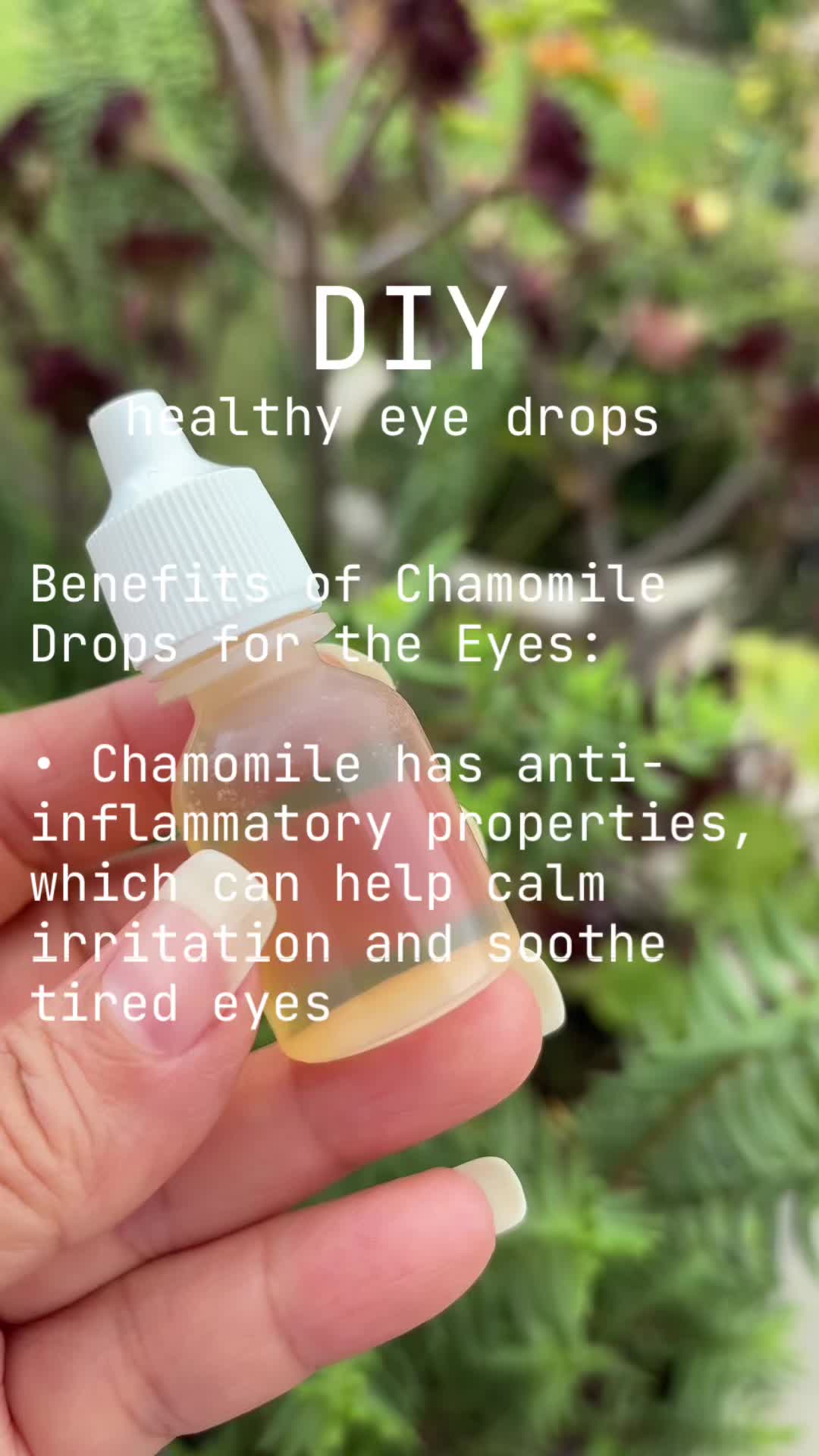 @𝗠𝗜𝗖𝗛𝗘𝗟𝗟𝗘