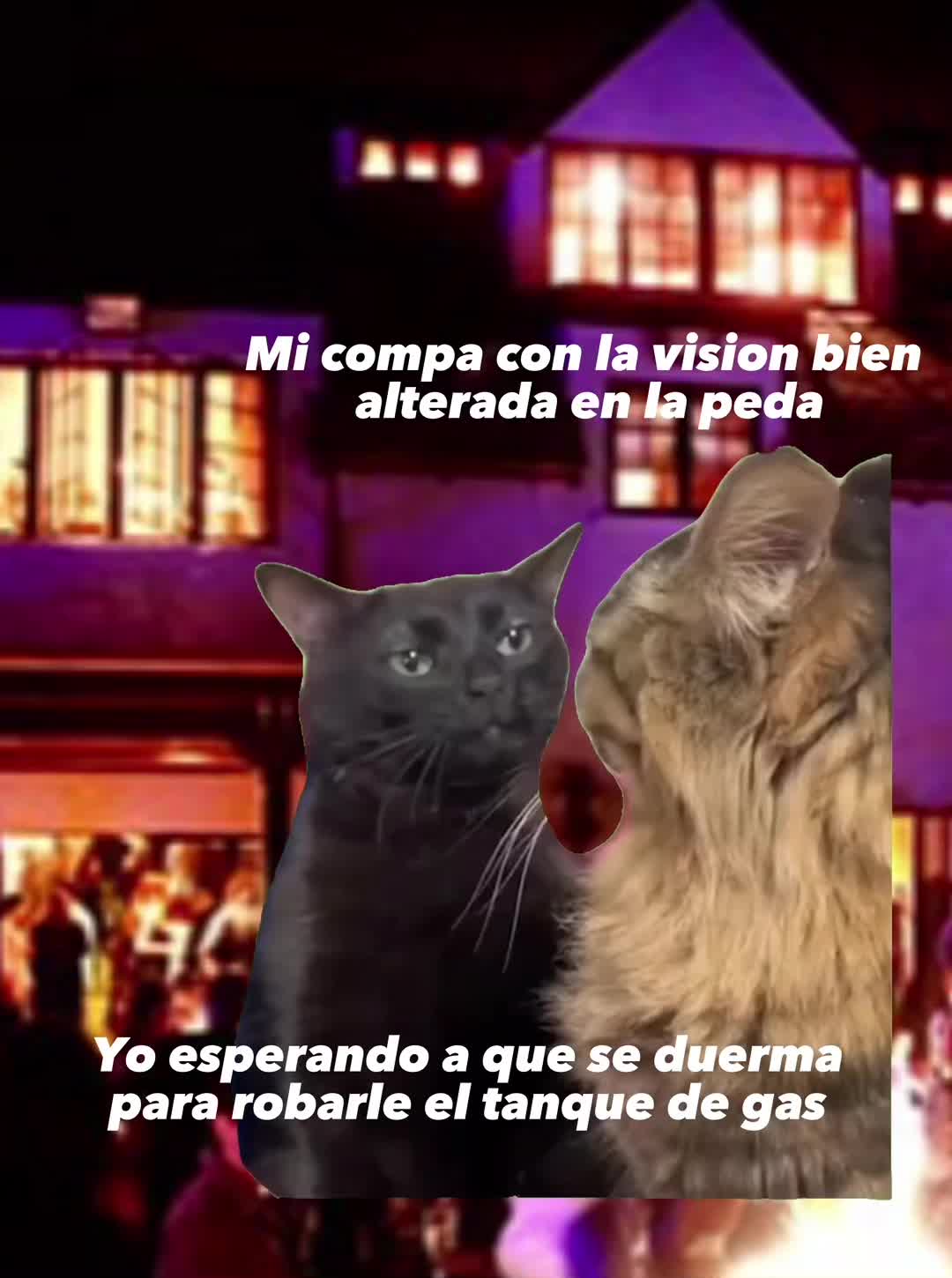 @diego.guy