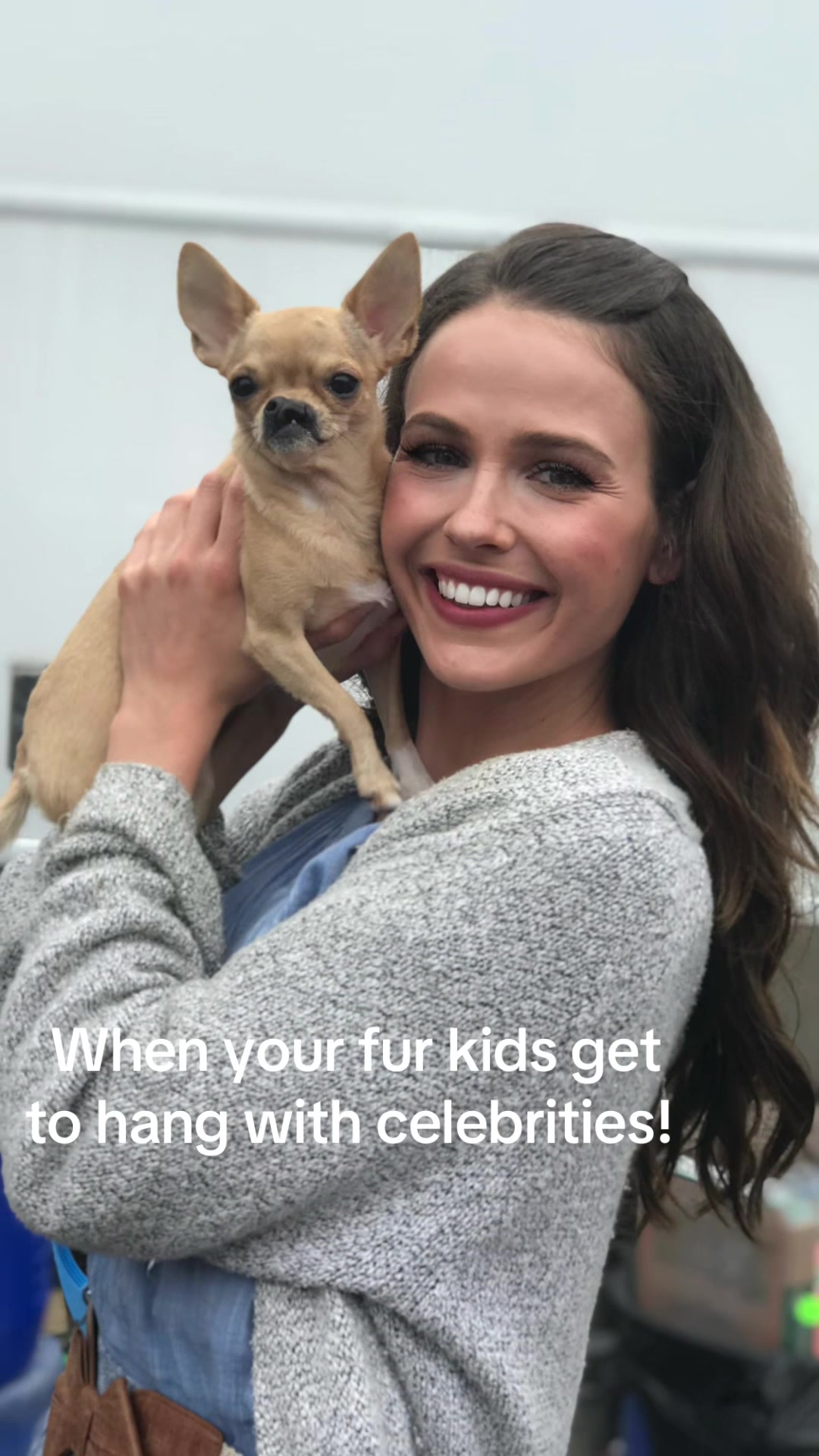 @Dog saver 8