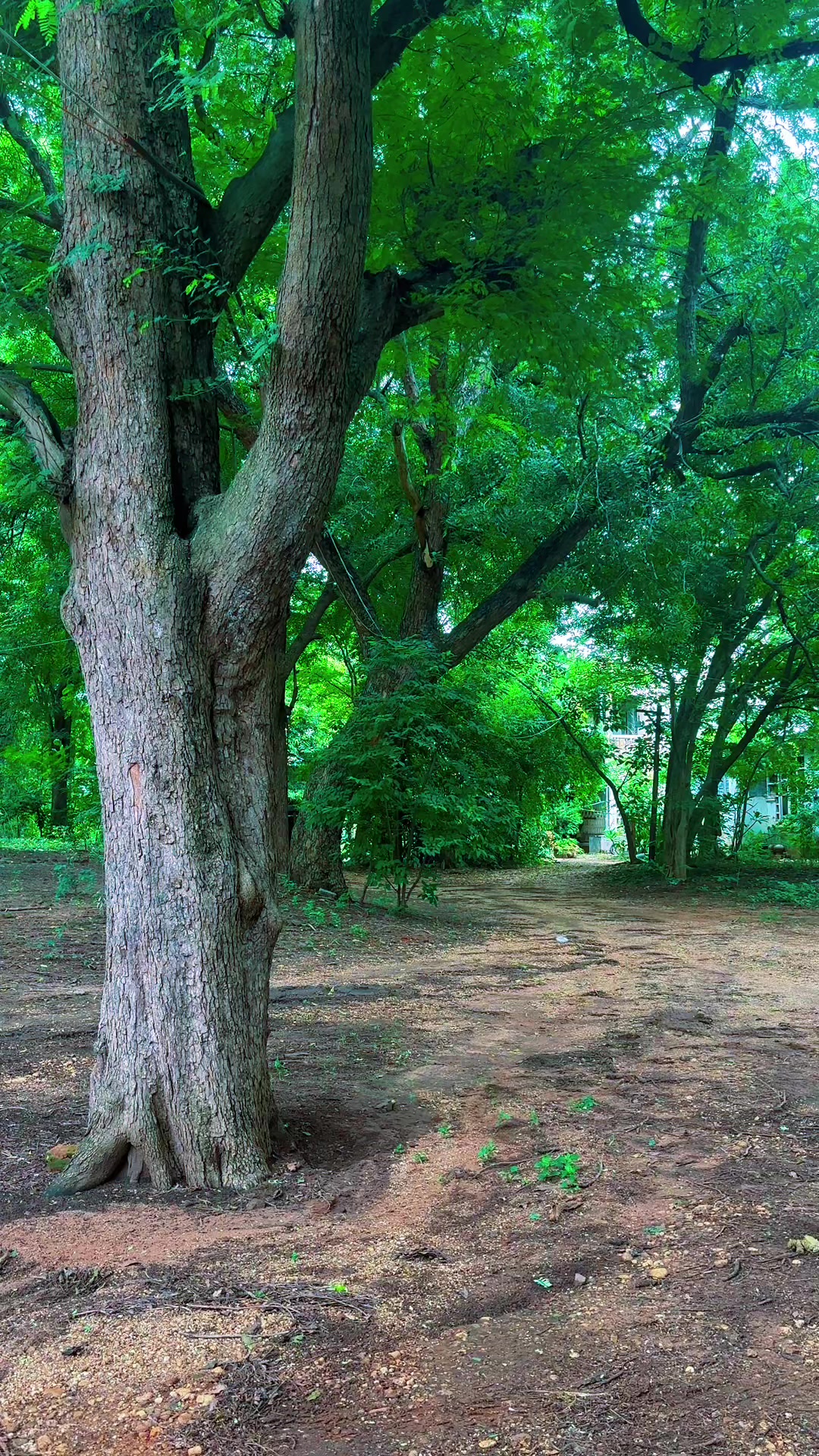 @đ§đťâď¸
