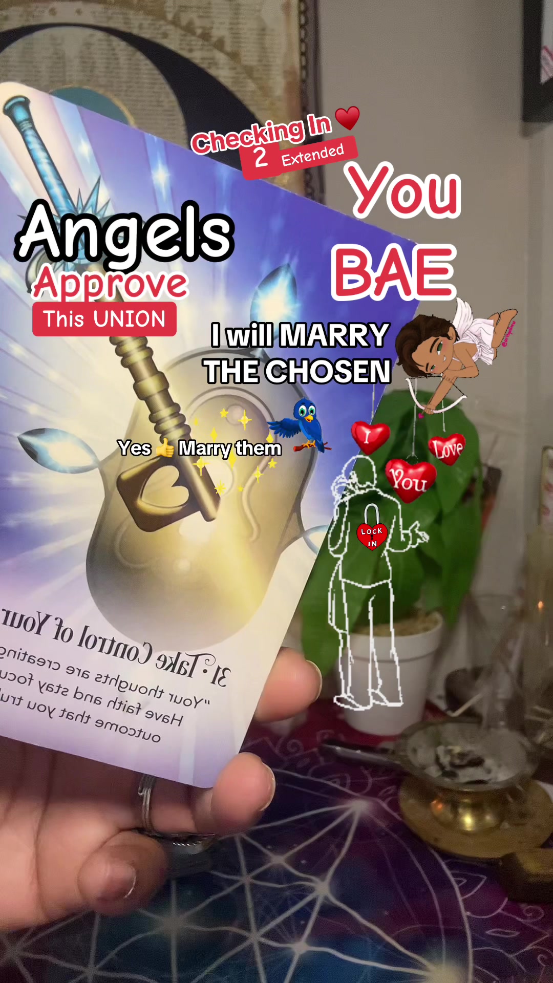 @TIKTOK TAROT