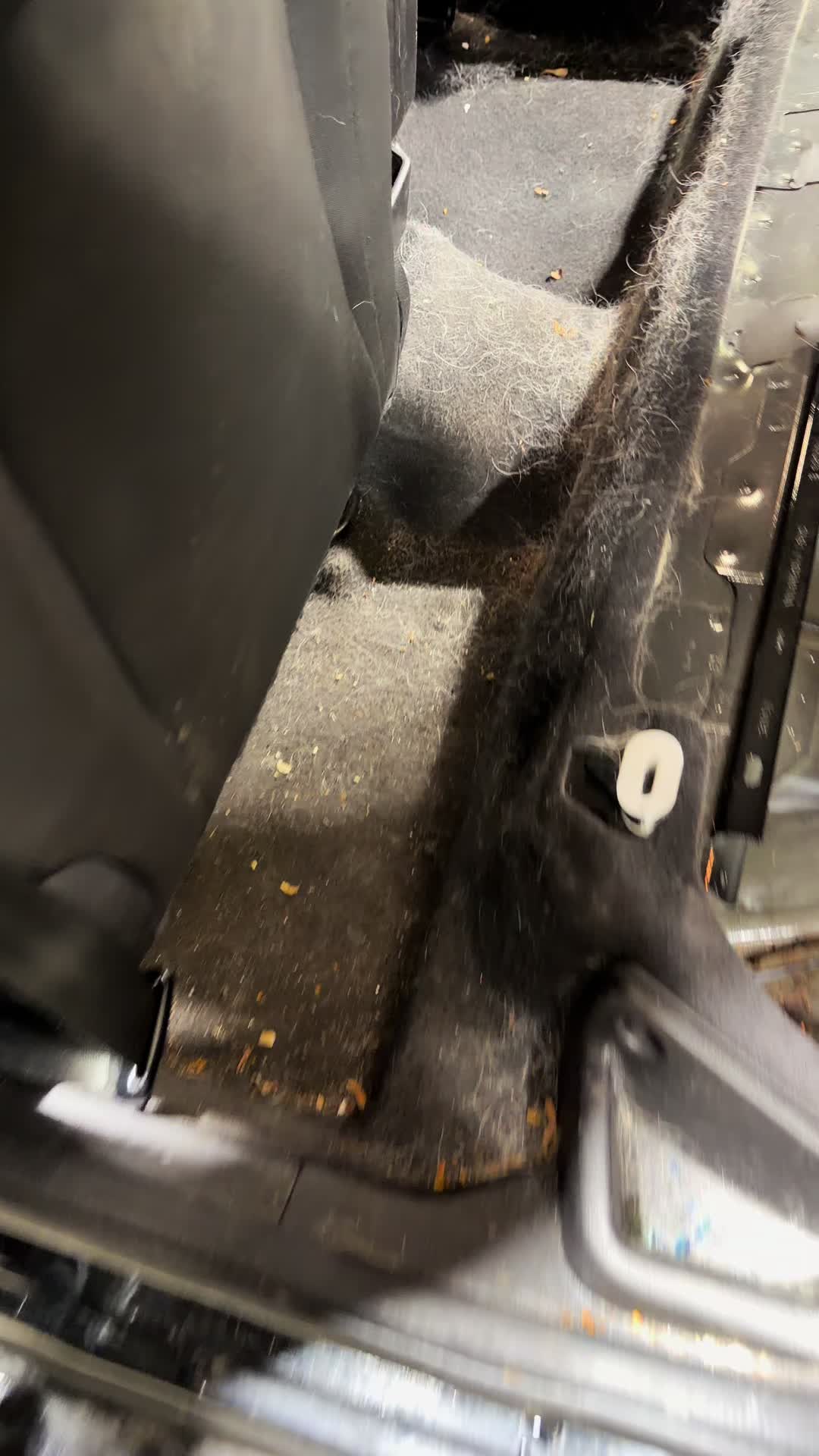 @New England Detailing