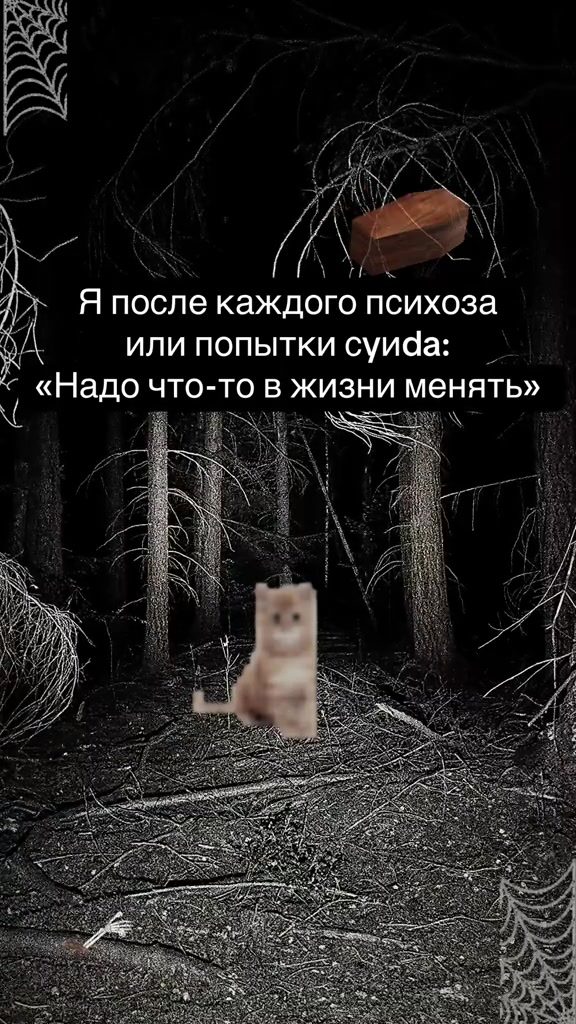 @_fima_is_not_here_