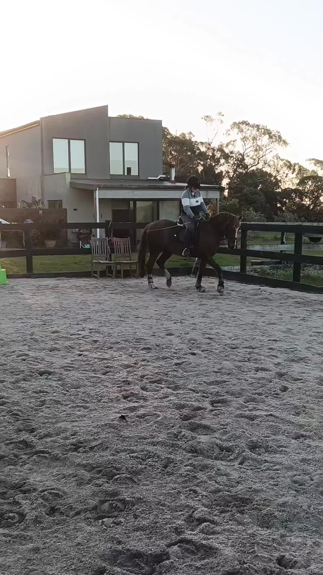 @Pip_equestrian9