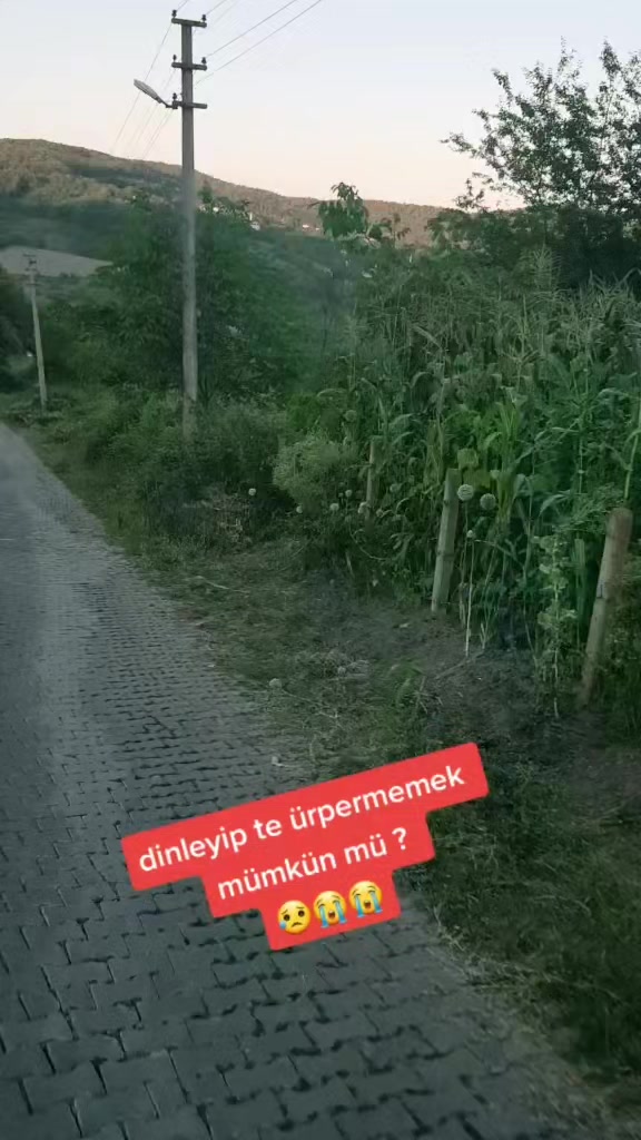 @67sevdam67