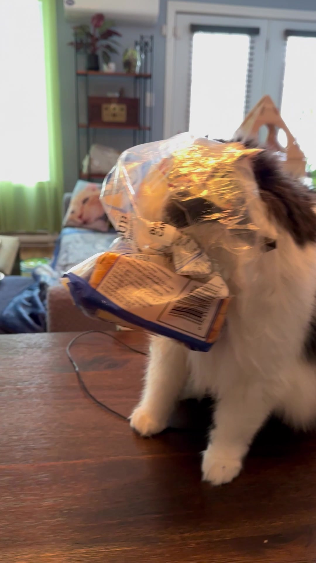 @The Oreo Cat