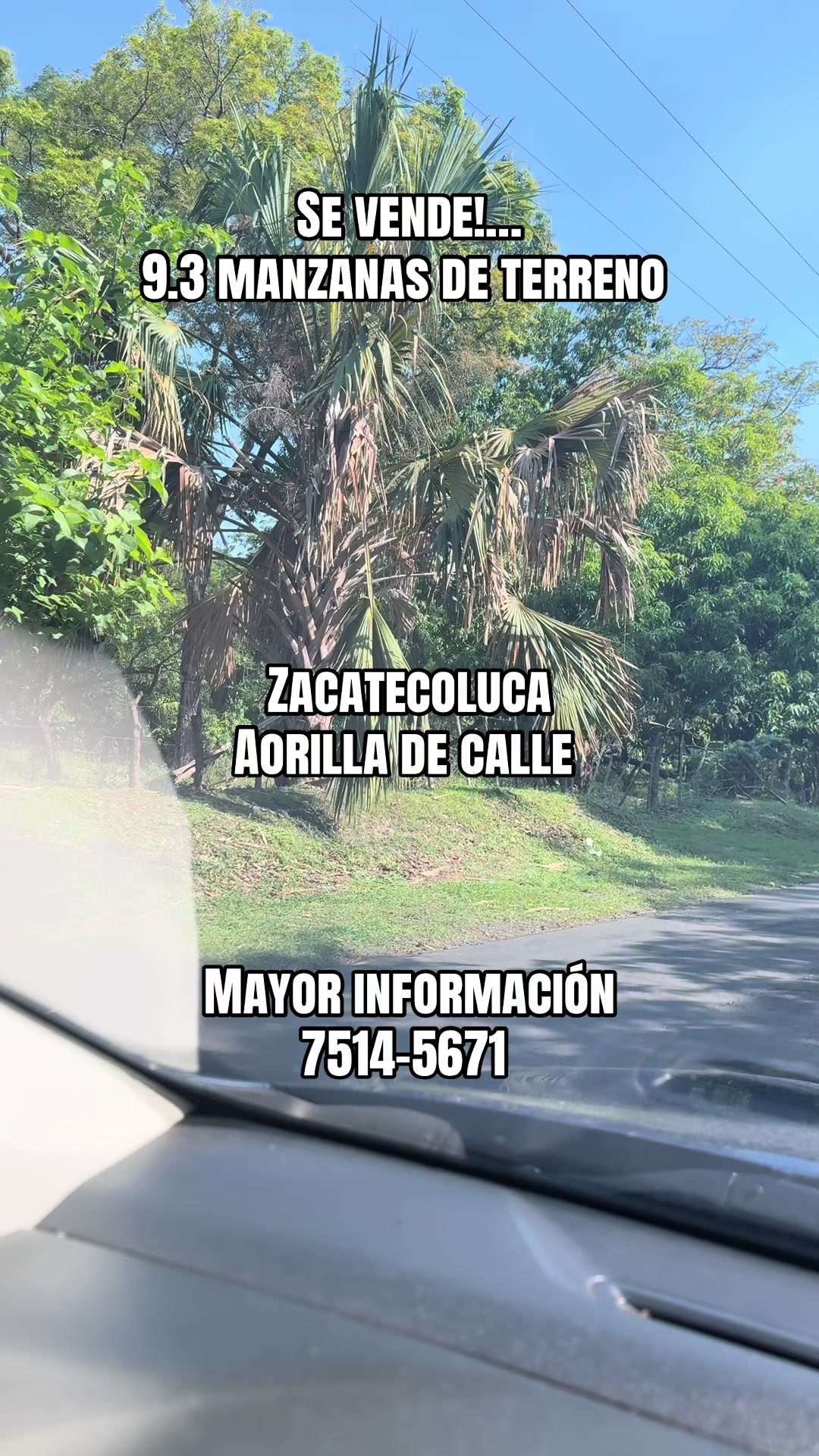 @Marco Ortiz🧸