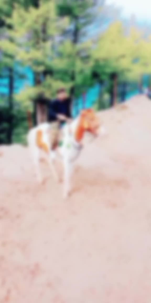 @đđ
žđ
ˇđ
°đ
¸đ
ť đ
šđđđ1800