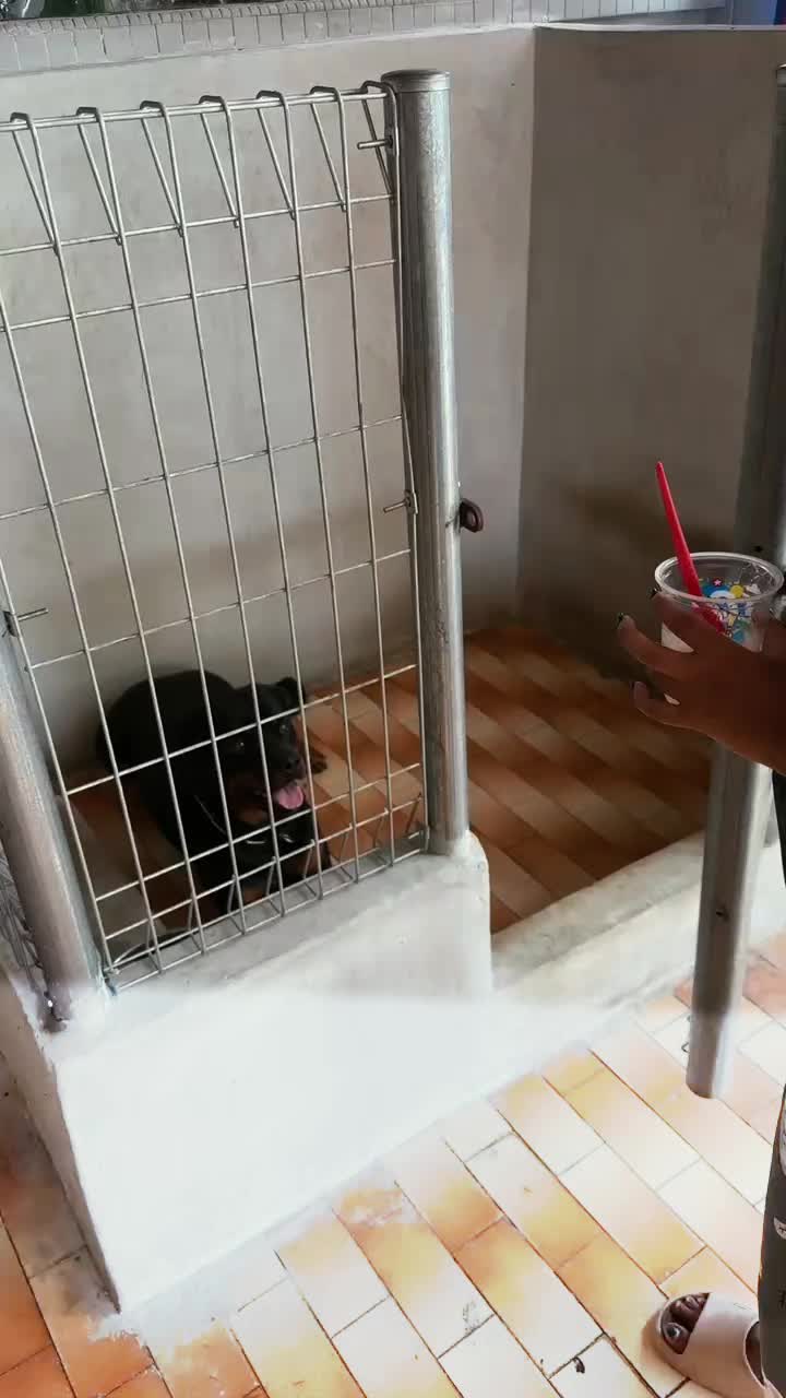 @🦜 Davamalar._.Mugundan 🦜