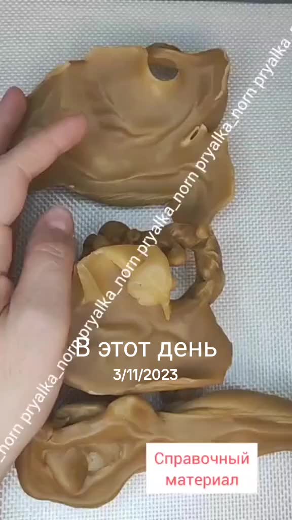 @Прялка Норн