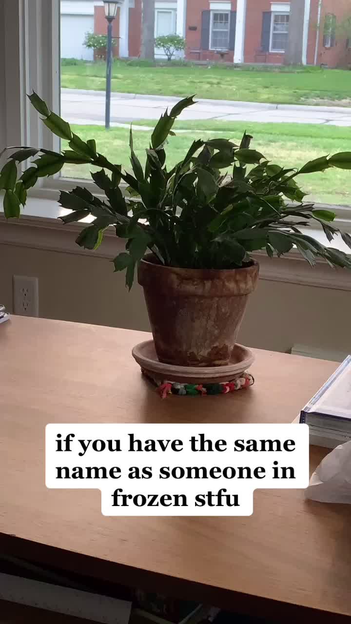 @annaslanderaccount