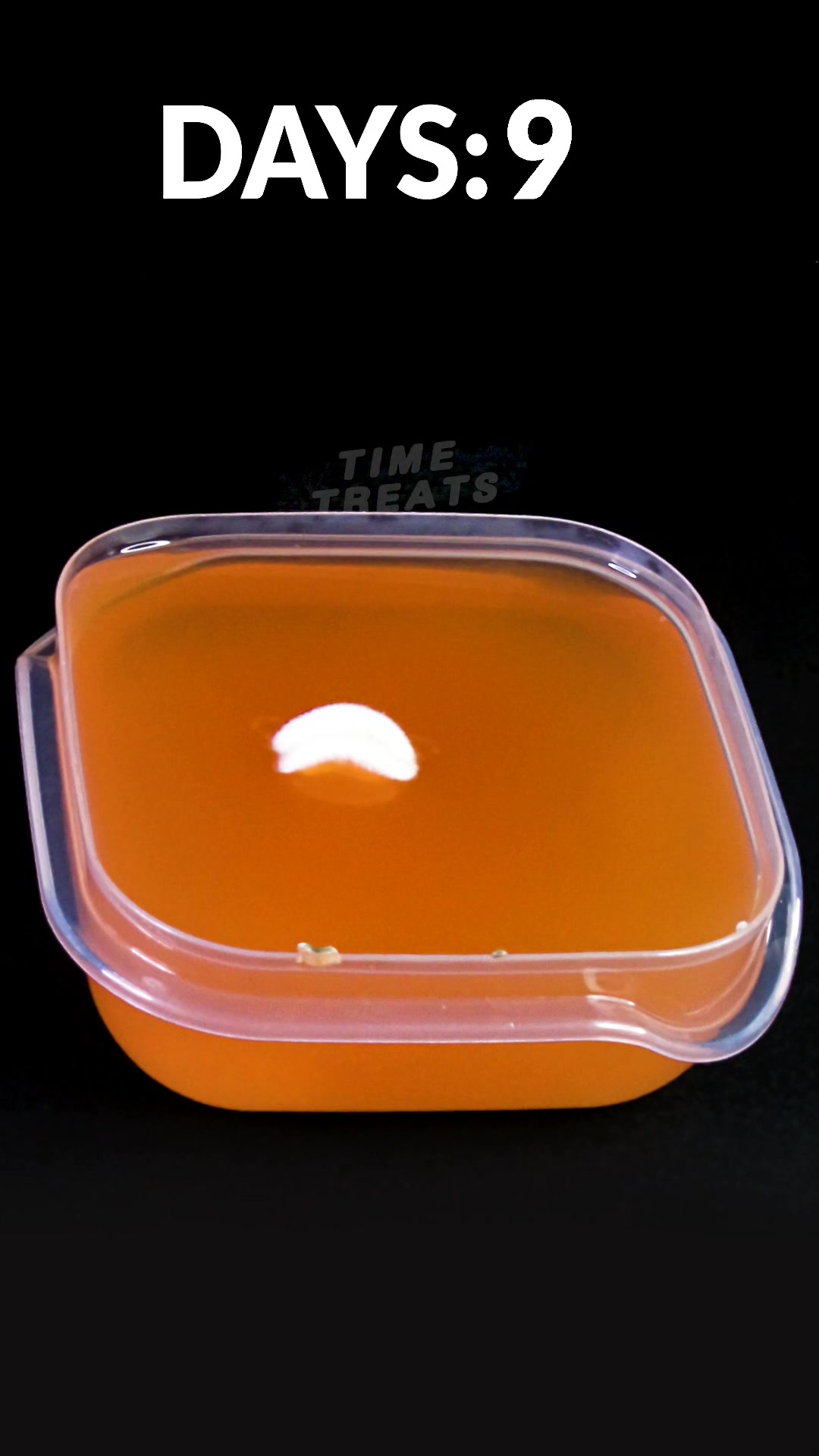 @Timetreats