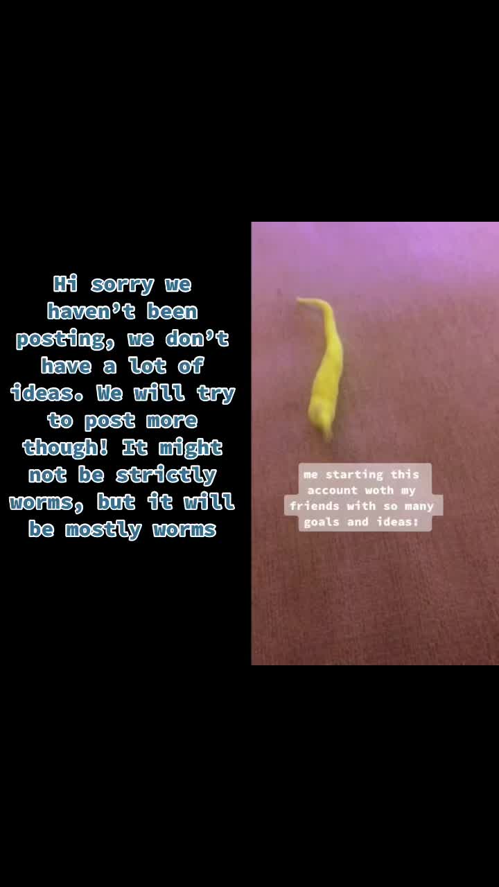 @✨So Cool Worms✨