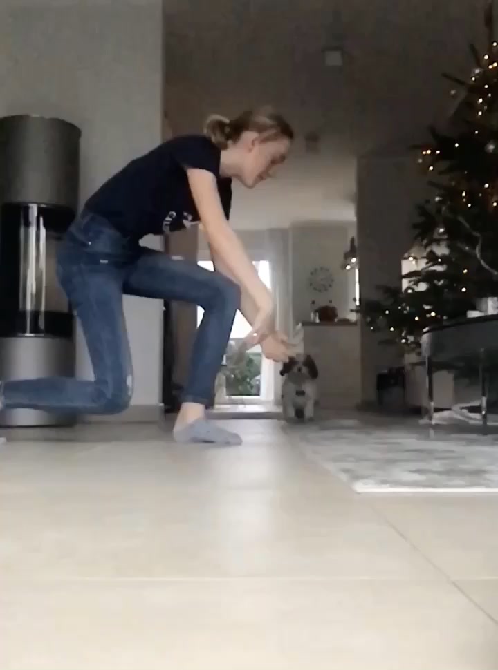 @Engel_auf_4_Pfoten💖