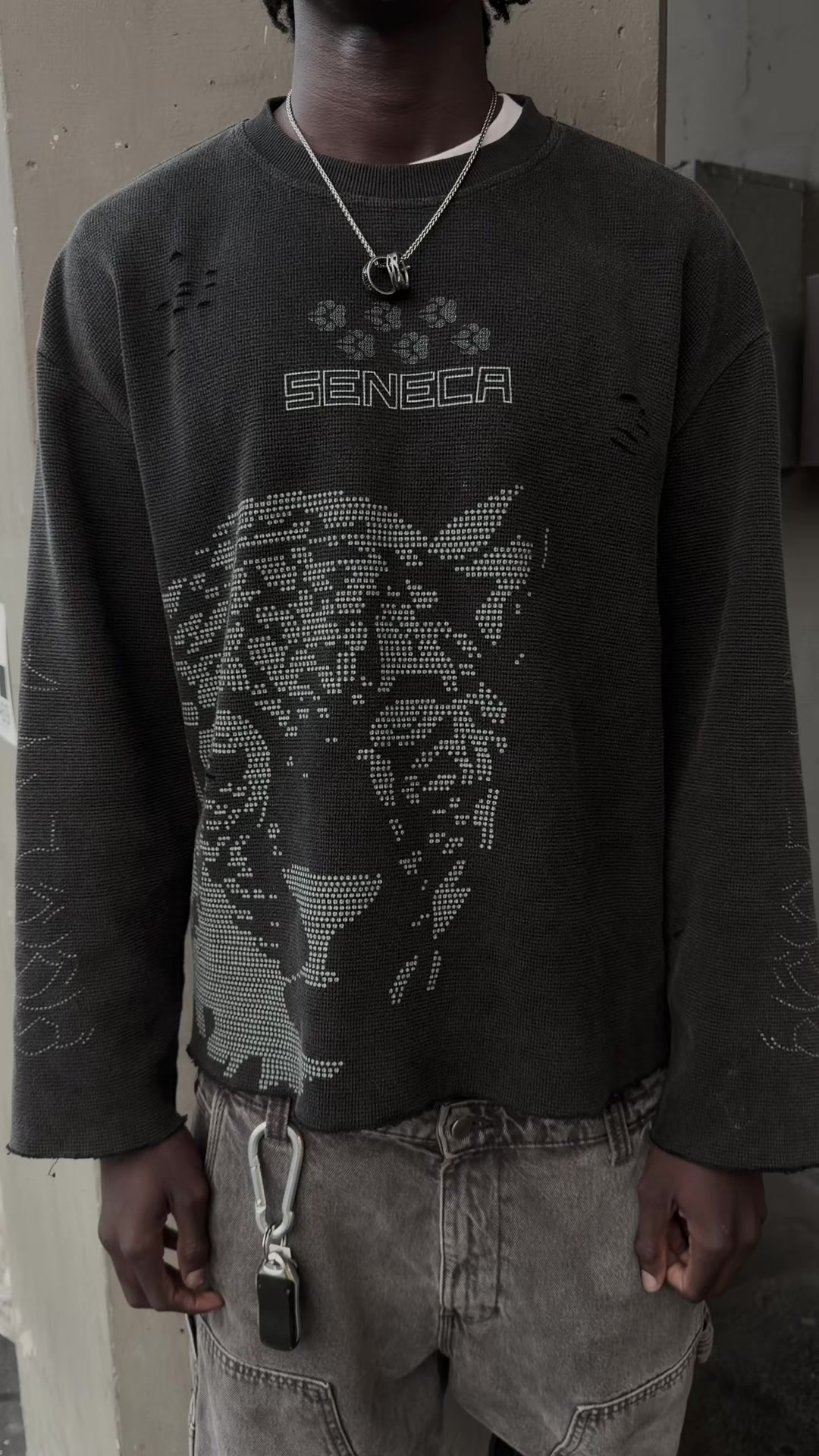 @seneca.aus