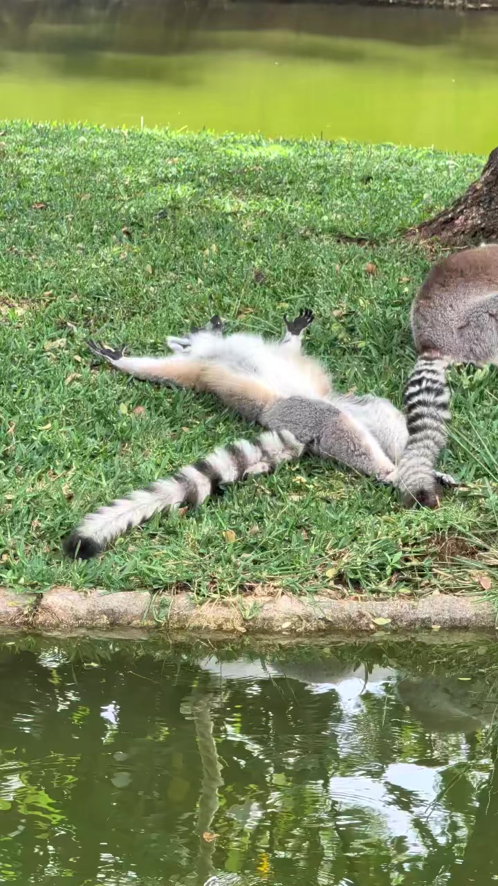 @thatplushvibe
