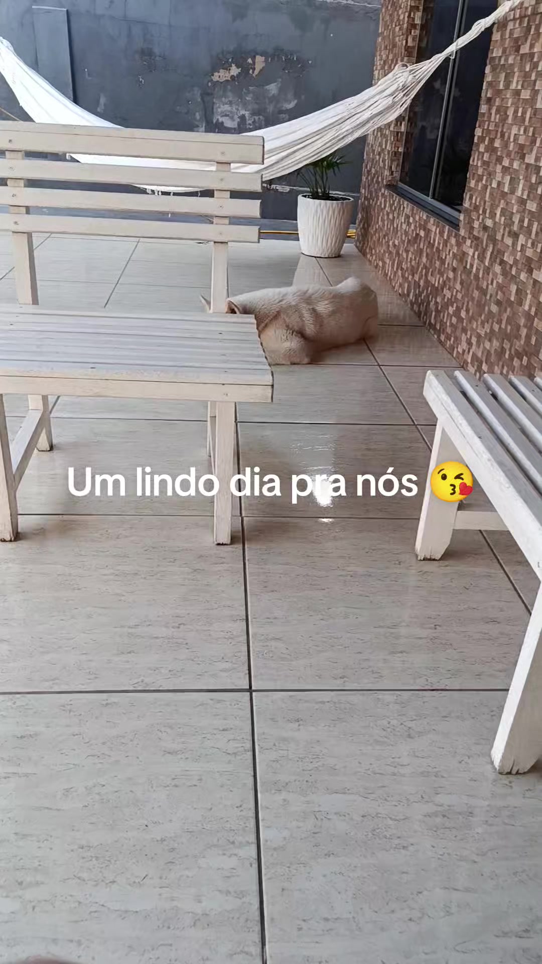 @Mileide Maciel Macie